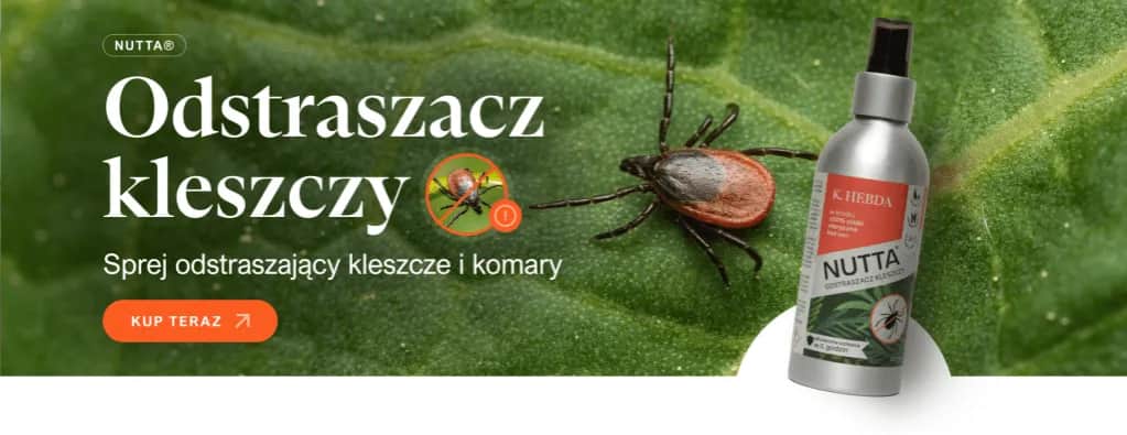 Jak zapobiec boreliozie - skuteczne metody ochrony przed kleszczami