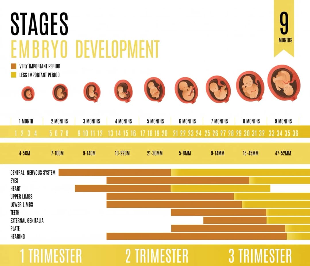 Ile dni ma tydzień ciąży? Zrozum, jak liczyć tygodnie w ciąży