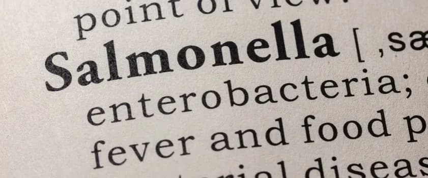 Jak zapobiec salmonellozie: 10 kluczowych zasad, które chronią zdrowie