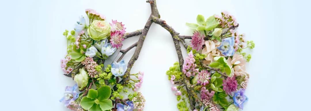 Skuteczne leki na pylenie brzozy, które złagodzą Twoje objawy alergii