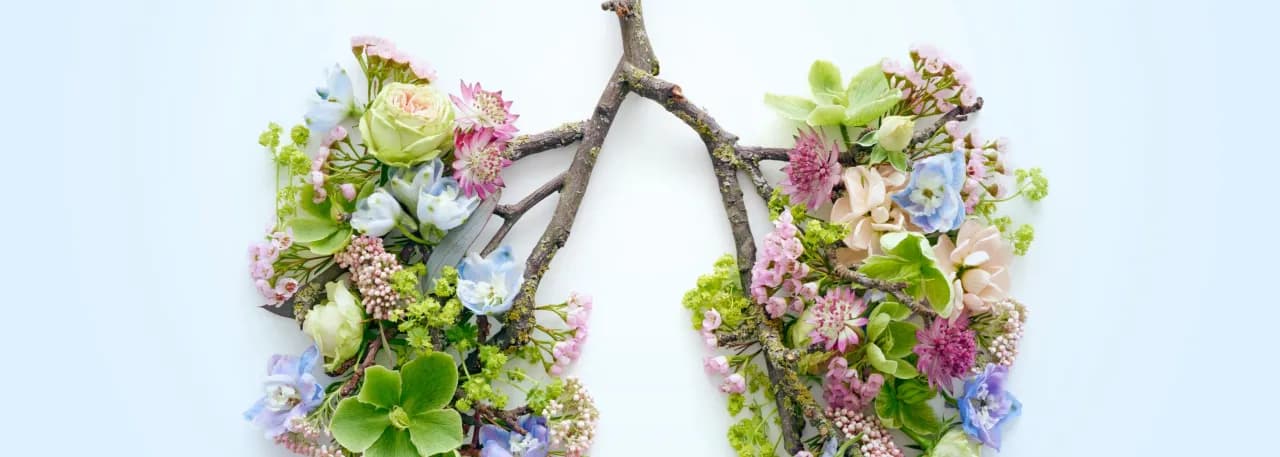 Skuteczne leki na pylenie brzozy, które złagodzą Twoje objawy alergii