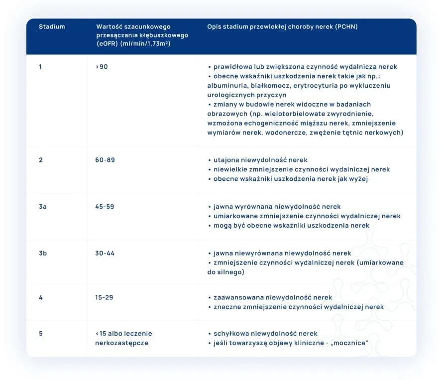 Badanie eGFR – co to jest i dlaczego jest kluczowe dla zdrowia nerek?